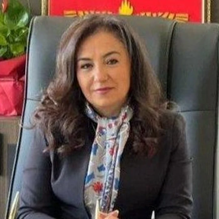 İdil Belediye Başkanı Türkan Kayır